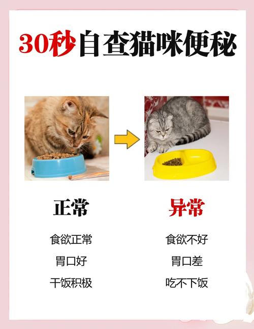 全国新闻 第22页