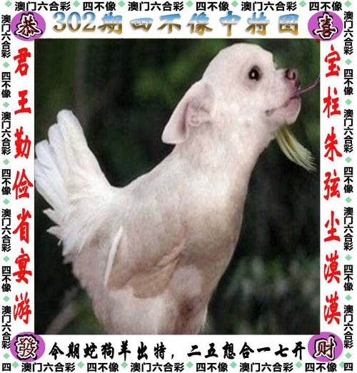 2025年5月27日 第2页