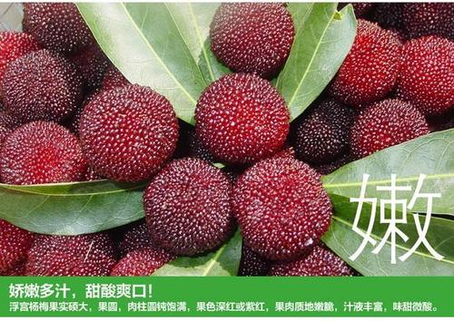 新澳门彩出号综合走势图和这几种水果买就后悔与买哪些水果