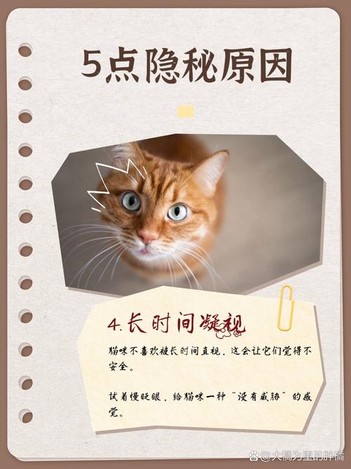 新澳天天彩免费大全和5种亲密关系是消耗与5种亲密关系是消耗爱情吗